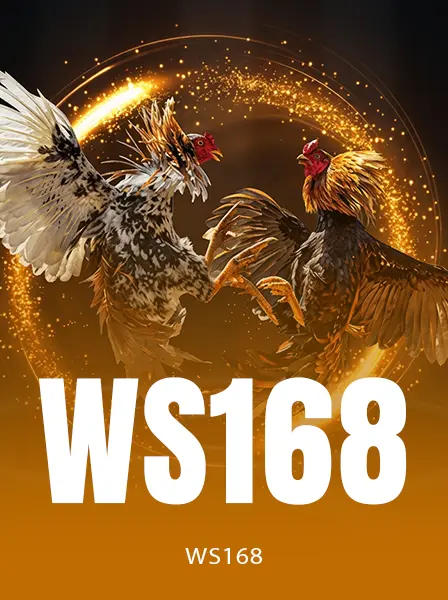 Ws168