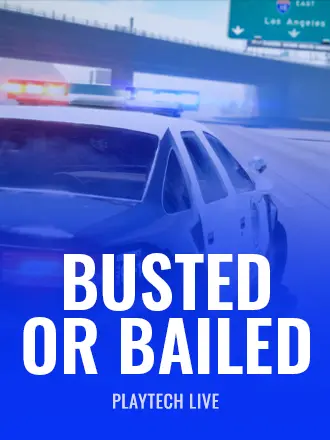 Busted Or Bailed